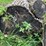 #7136-•-2-logs-image-7