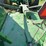 john-deere-hx20-image-16