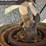 international-loadstar-image-107