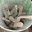 #7176-•-pallet-of-various-planter-parts-image-7