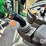 2024-john-deere-6r-145-image-75