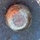 2-5/16-in-receiver-trailer-hitch-ball-mount-image-3