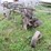 john-deere-5-image-4