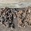 #7137-•-4-chains-and-2-binders-image-3