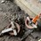 #7141-•-2000-pound-capacity-chain-block-and-tackle-image-6