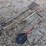 yard-tools-image-1