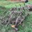 #7135-•-metal-cultivator-pieces-image-1