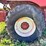 case-ih-1680-image-28