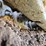 2017-caterpillar-336f-image-92
