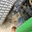 john-deere-1575-image-39