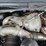 2009-ford-f550-image-33