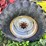 case-ih-1680-image-39