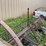#7129-•-steel-wheel-spring-tine-impliment-image-7
