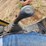 2000-john-deere-2000-image-61