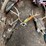 #7197-•-(3)-whitetail-skulls-image-1