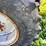 case-ih-1680-image-40
