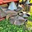 case-ih-1680-image-42
