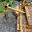 woods-do80-image-14
