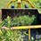 orthman-soilmover-75rf-image-25