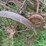#7134-•-metal-cultivator-image-9