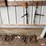 #7137-•-4-chains-and-2-binders-image-1