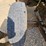 international-loadstar-image-102