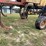 landoll-weatherproofer-deep-ripper-image-6
