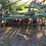 john-deere-bwa-image-3