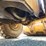 caterpillar-980b-image-57