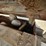 international-loadstar-image-79