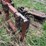 #7122-•-universal-skid-steer-mount-image-6