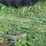 #7131-•-pile-of-scrap-metal-image-6