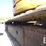 2012-caterpillar-303.5d-cr-image-29