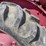 farmall-140-tractor-w/cultivators-5760-image-12