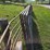 (4)-16'-corral-gates-image-3