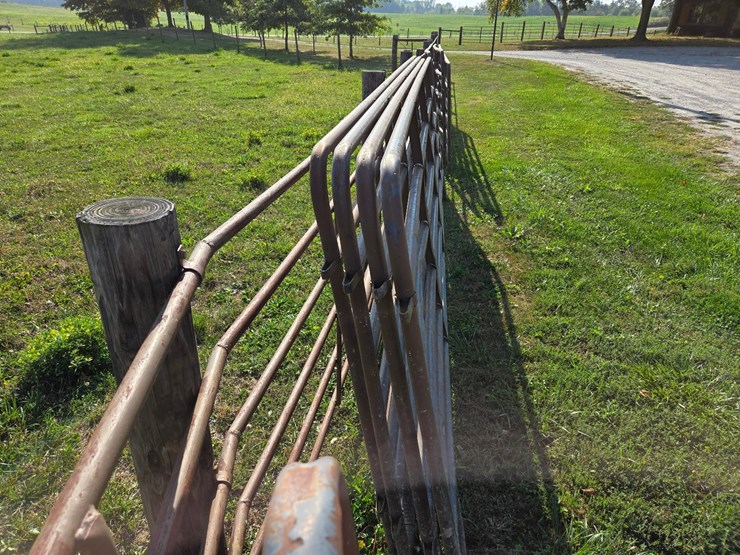 (4)-16'-corral-gates-image-3