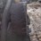 komatsu-wa250pt-5-image-22