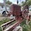 stover-6-8-hp-hit-&-miss-engine-on-trucks---type-k-(sn#-kc240274)-image-7