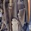 case-cx60-excavator-8560-image-46