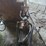 log-splitter-w/3pt-hitch-image-6