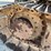caterpillar-311-image-12