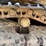 caterpillar-311-image-11