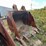 caterpillar-15-image-2