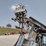 caretree-748-tree-spade-image-5