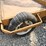 woods-hs106-image-19
