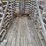 wood-corn-crib-w/steel-roof-image-9