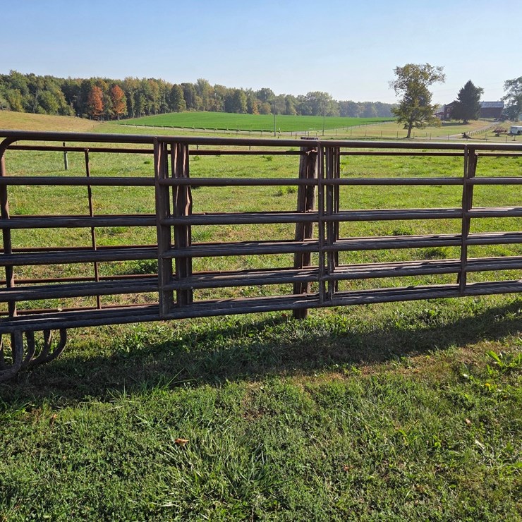 (4) 16' corral gates