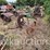 john-deere-pull-type-subsoiler-on-steel-wheels-image-4