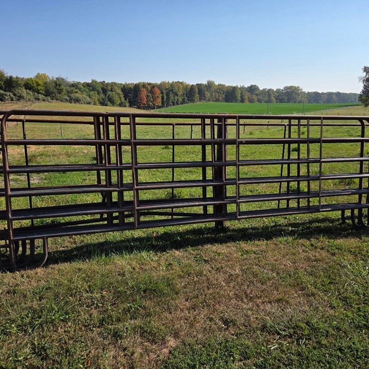 (4) 16' corral gates