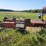 log-splitter-on-wheels-w/ball-hitch-image-6